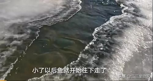 吉林大爺破冰捕魚:一斤能賣25元