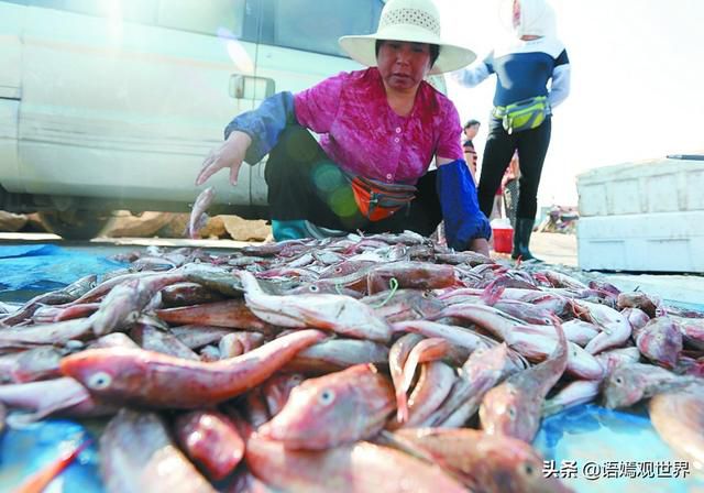 為什麼非洲人餓着都不吃的東西,中國遊客卻會搶購?遊客:好東西
