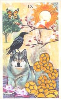 小賜塔羅牌占卜:這一生有什麼遺憾,一定要去做?