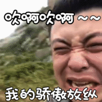 颱風兇猛,沒有200斤以上的體重咱還是在家待着吧!