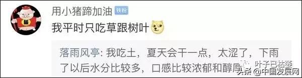 懵了!大陸人連榨菜都吃不起!台政論節目再出奇葩言論