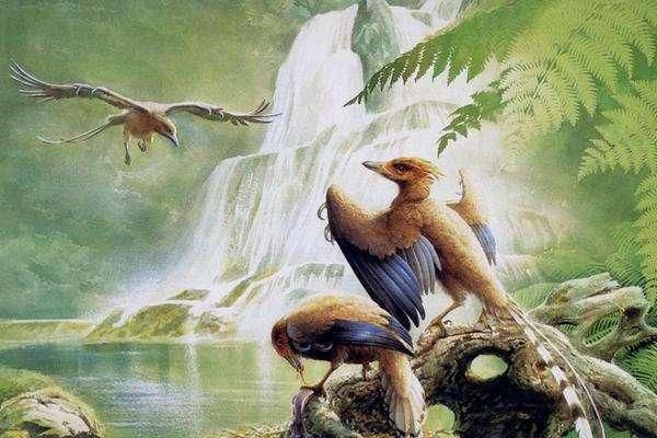遼西地區為何成為古生物化石“聚寶盆”這裏就是天然的化石庫
