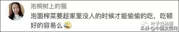 懵了!大陸人連榨菜都吃不起!台政論節目再出奇葩言論