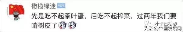 懵了!大陸人連榨菜都吃不起!台政論節目再出奇葩言論