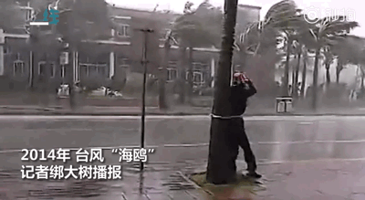 颱風兇猛,沒有200斤以上的體重咱還是在家待着吧!