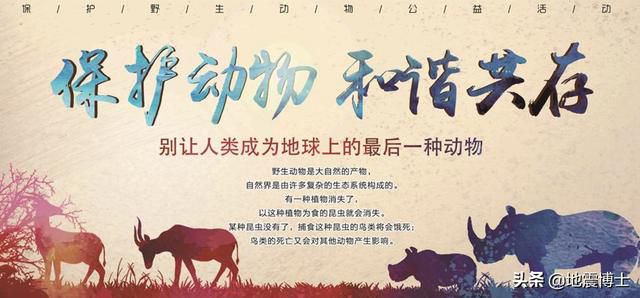 為什麼動物世界裏很多兇猛的動物都怕人類?