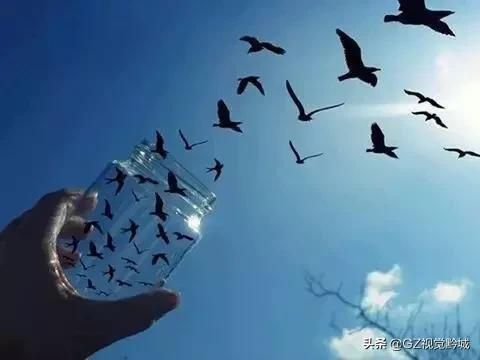 手機錯位攝影,一學就會!一拍就廢嗎?不是這樣的