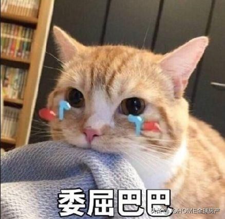 重磅官宣!海外華人回國,護照可以當身份證用啦