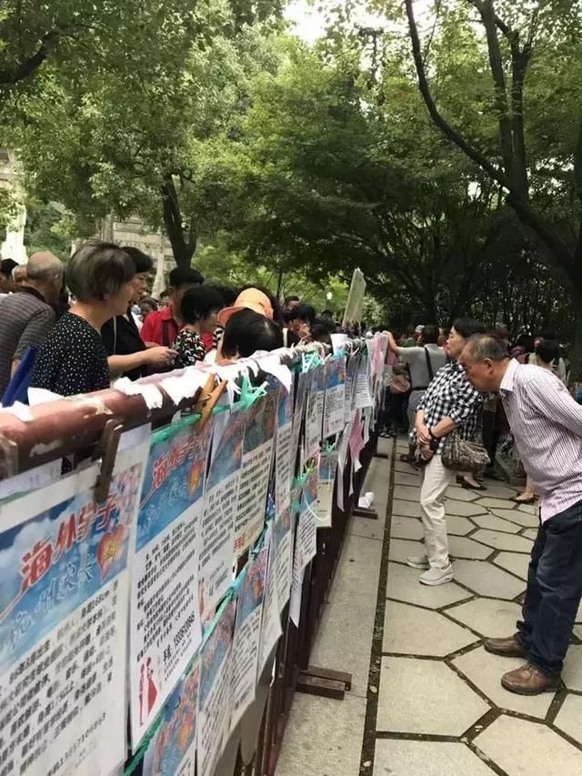 “就缺女婿拎包入住!”掛出家裏10多套房,父母為30歲女兒徵婚