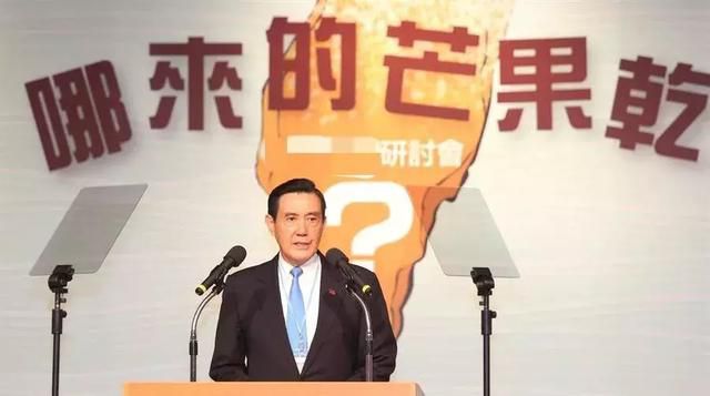 馬英九:“反中”是蔡英文執政無能的遮羞布