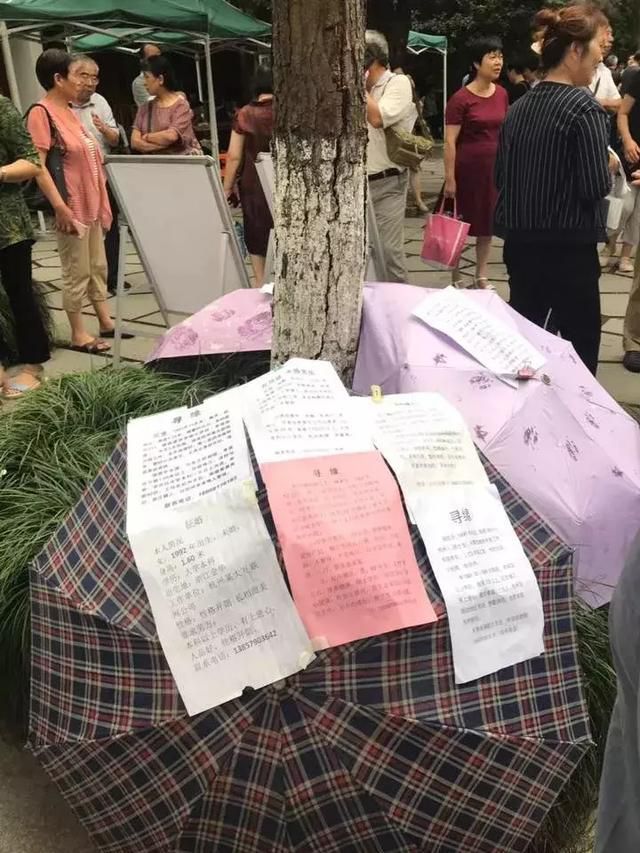 “就缺女婿拎包入住!”掛出家裏10多套房,父母為30歲女兒徵婚